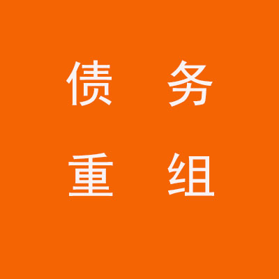 蒋湖农场个人债务重组优化